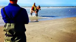 Paysans du monde Corse