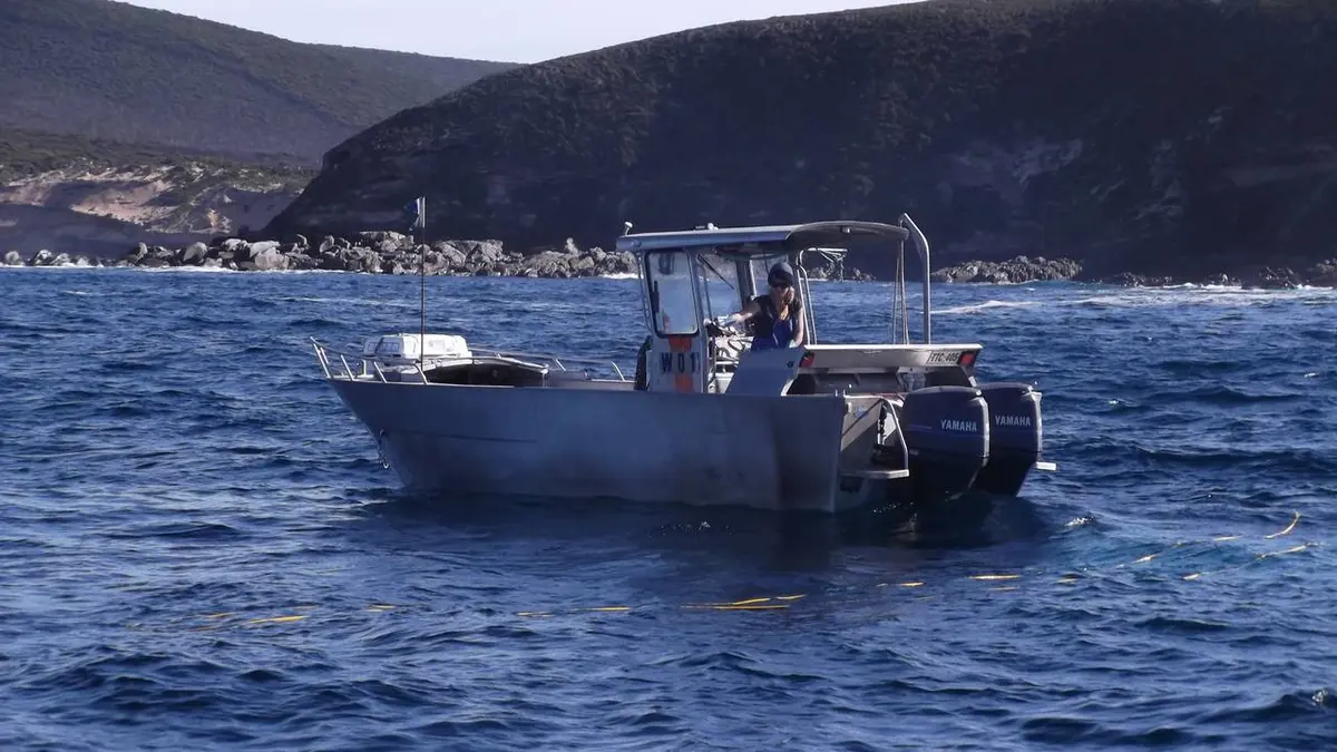 Pêche en eaux troubles S03E02 Le dilemme