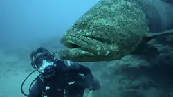 Pêche XXL Disparitions... fatales