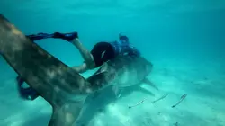 Pêche XXL Morsures atroces