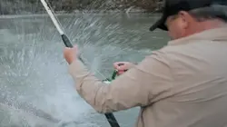 Pêche XXL Morsures atroces