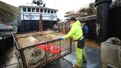 Péril en haute mer Renaissance