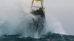 Casting Péril en haute mer Coups durs