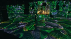 Casting Petite histoire du futur Etre humain