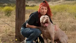 Casting Pitbulls et prisonniers