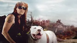 Pitbulls et prisonniers Enfin libre