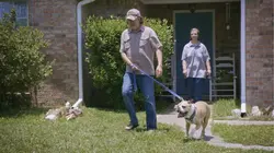 Pitbulls et prisonniers Déchéance