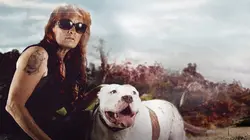 Pitbulls et prisonniers Déchéance