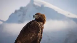 Planète Terre S01E02 Les sommets