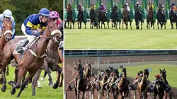 Casting Profession crack