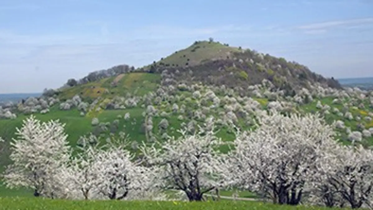 Épisodes de Quand arrive le printemps
