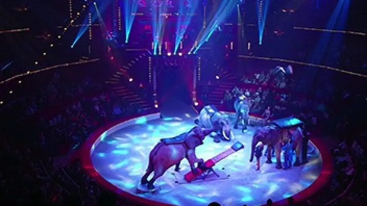 Casting Quel cirque ! E03 France