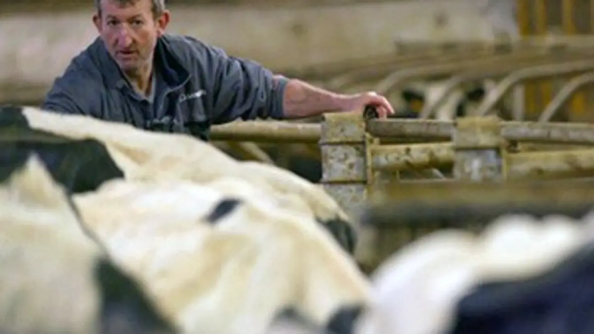 Qui sommes-nous ? Travailler encore