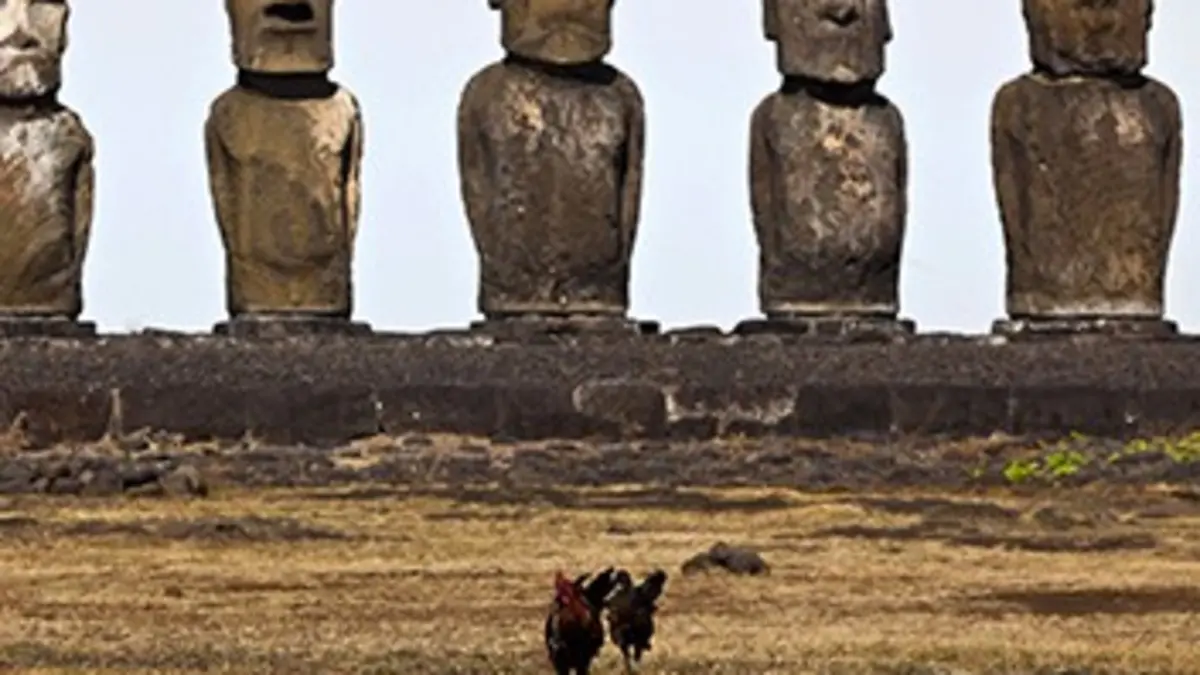 Rapanui, histoire cachée de l'île de Pâques