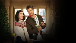 Rénovations de Noël