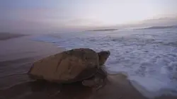 Réparer la nature L'eau