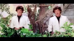Belmondo ou le goût du risque : Belmondo ou le goût du risque