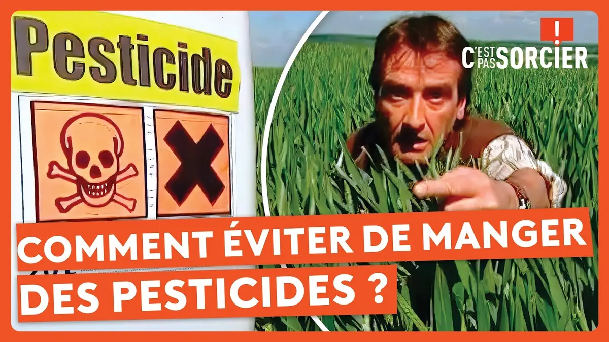 C'est pas sorcier replay du 21/02/2025 : Comment éviter de manger des