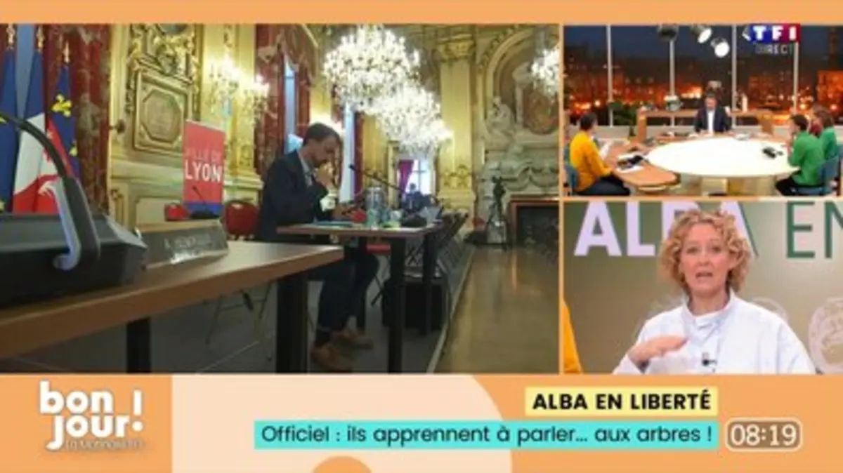 Replay Bonjour La Matinale Tf Du Alba En Libert