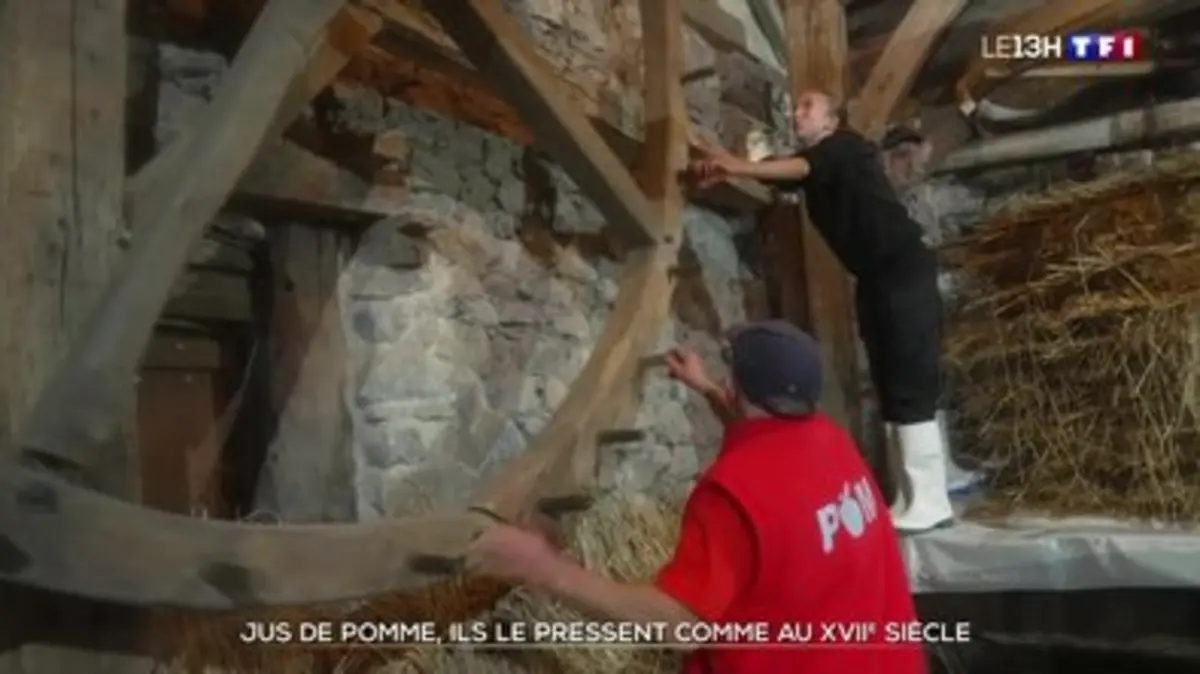 Replay Journal De TF1 Du 21 10 2024 Jus De Pomme Ils Le Pressent