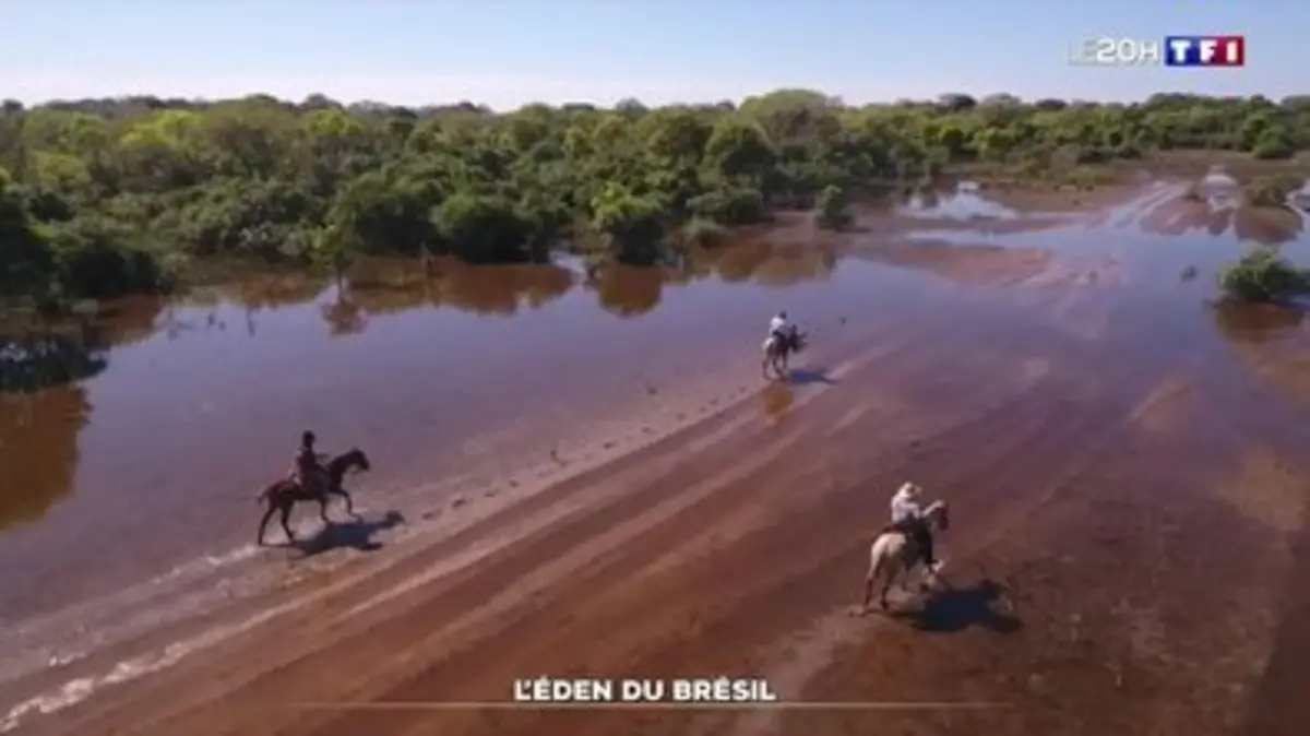 Replay da Revista TF1 27/07/2024: Brasil Paraíso