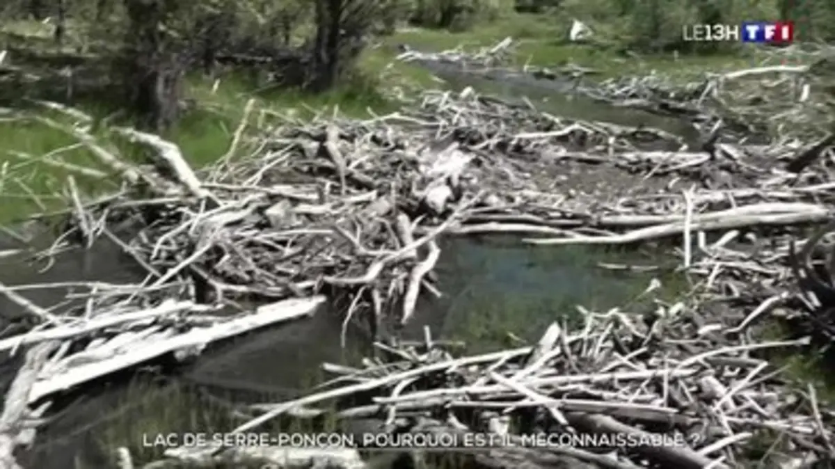 Replay Journal de TF1 du 09 05 2024 Lac de Serre Ponçon pourquoi