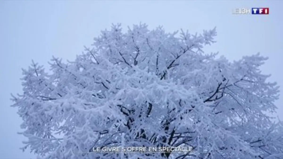 Replay Journal De Tf Du Le Givre Soffre En Spectacle