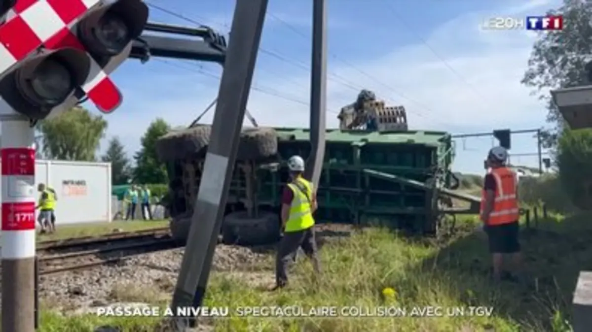 Replay Journal de TF1 du 29 08 2024 Passage à niveau spectaculaire