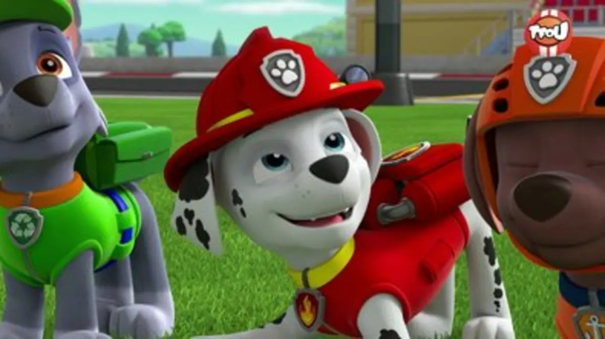 Replay TFou du 01/06/2024 : Paw Patrol, la Pat'Patrouille - La Grande ...