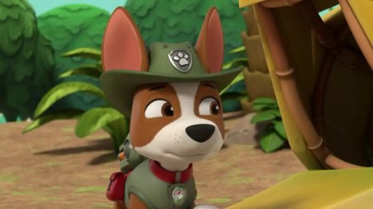 Replay Tfou Du Paw Patrol La Pat Patrouille La Peluche