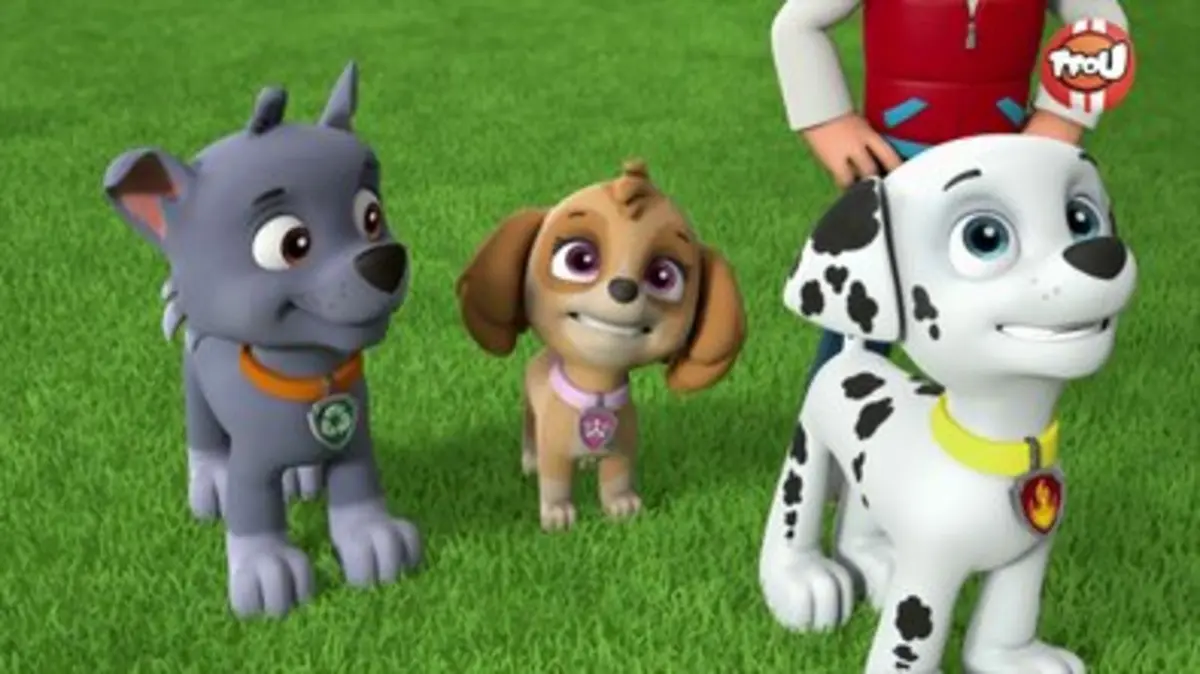 Replay Tfou Du Paw Patrol La Pat Patrouille Le B B