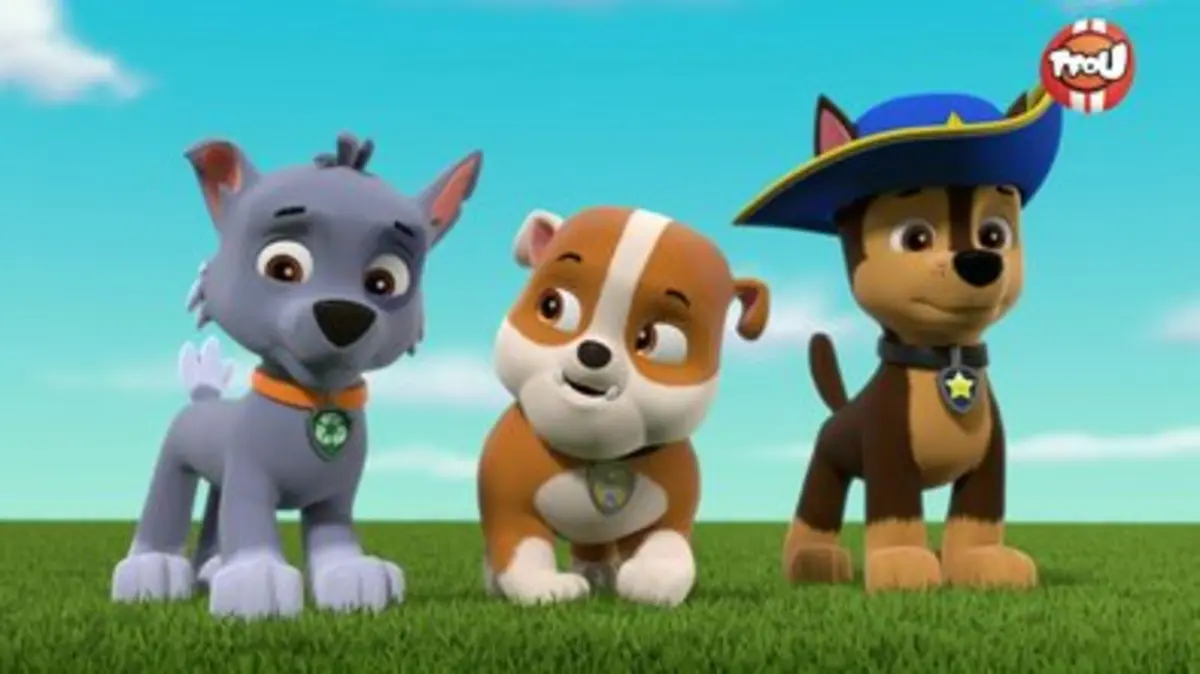 Replay TFou du 18/11/2024 : Paw Patrol, la Pat'Patrouille - M ...