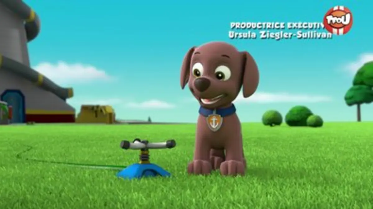 Replay Tfou Du Paw Patrol La Pat Patrouille Sauvetage Extr Me Alerte Grosse