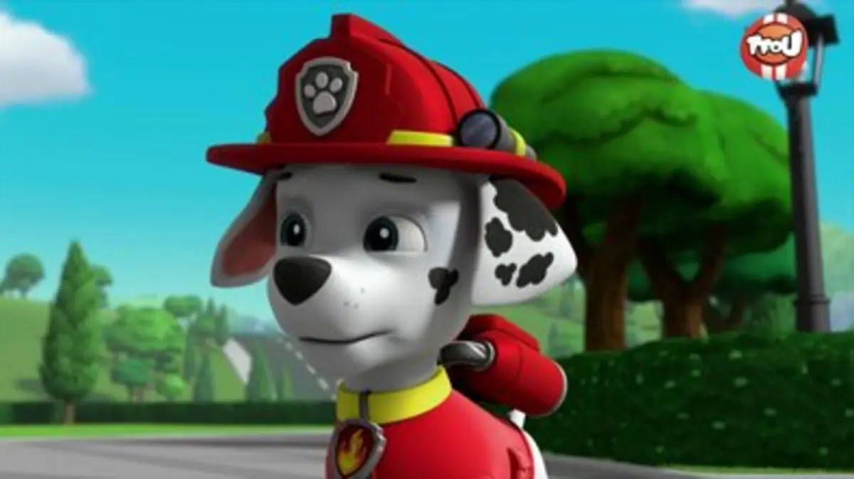 Replay TFou du 21/03/2024 : Paw Patrol, la Pat'Patrouille - La fresque ...