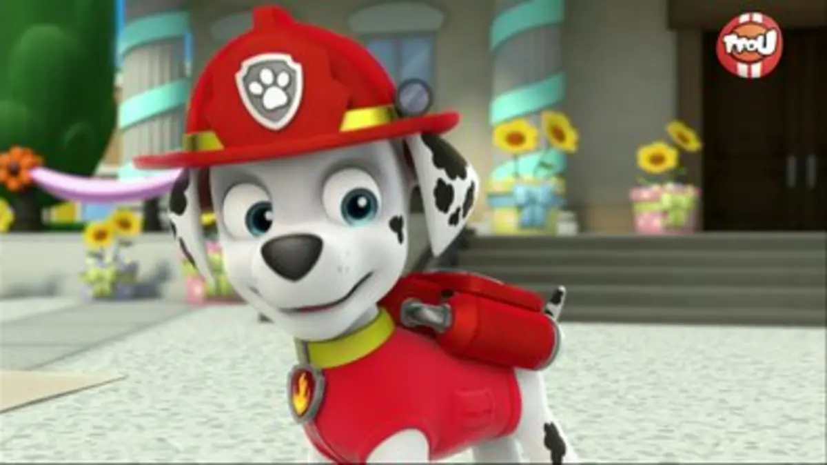 Replay TFou Du 31 03 2024 Paw Patrol La Pat Patrouille La Grande