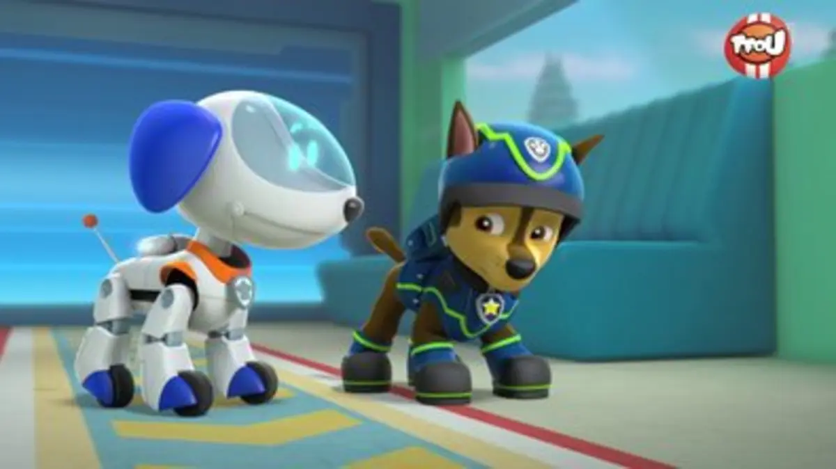 Replay TFou du 02/02/2024 : Paw Patrol, la Pat'Patrouille - Le vol du ...