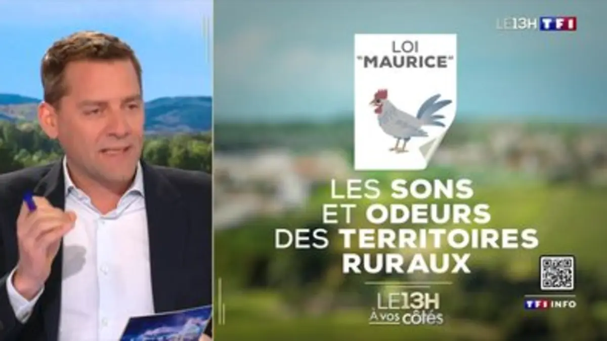 Replay Journal De Tf Du Quand Le Coq De Mon Voisin Chante