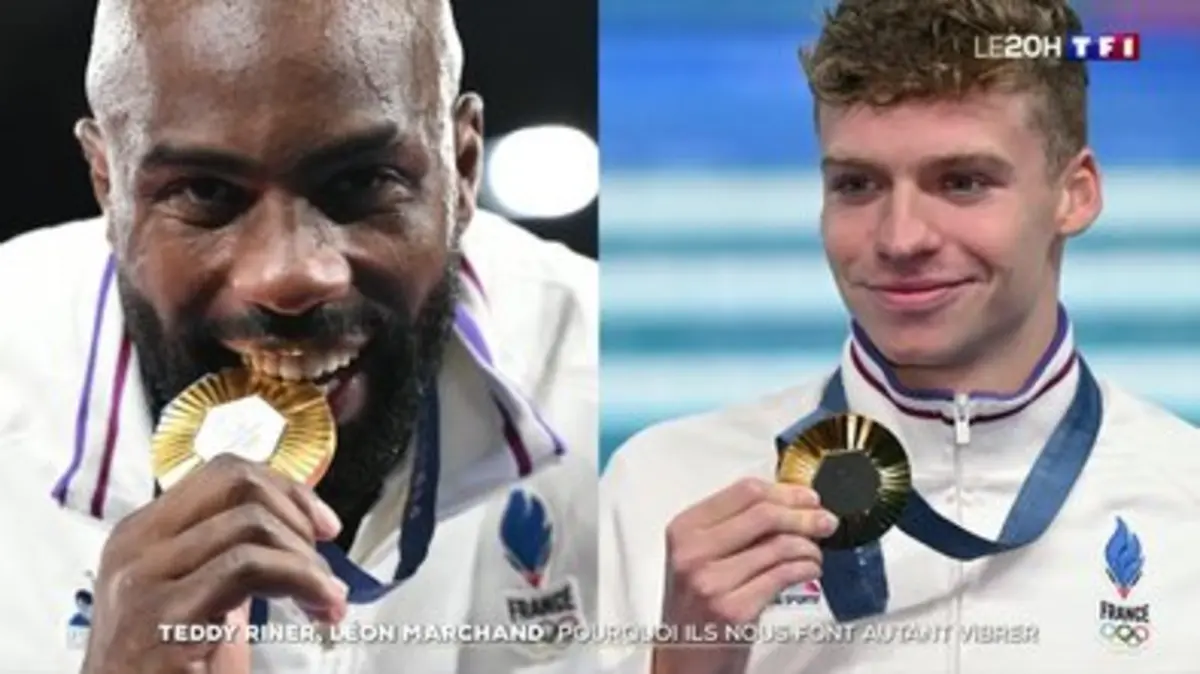 Replay Journal De Tf Du Teddy Riner L On Marchand