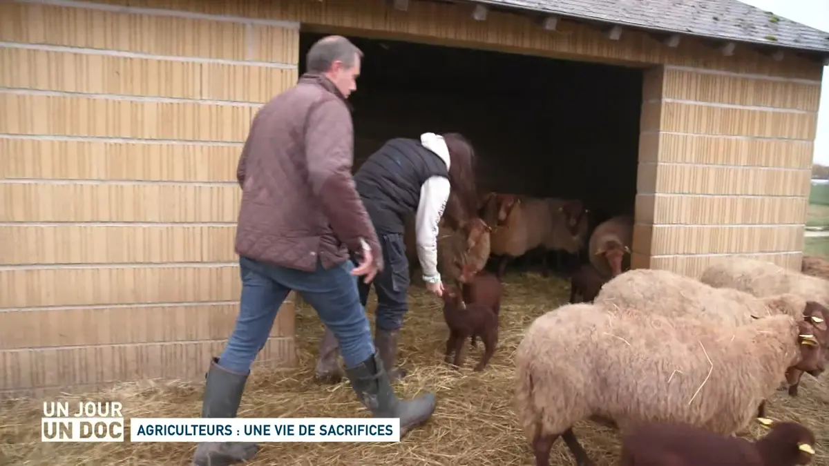 Replay Un Jour Un Doc Du 29 02 2024 Un Jour Un Doc Agriculteurs