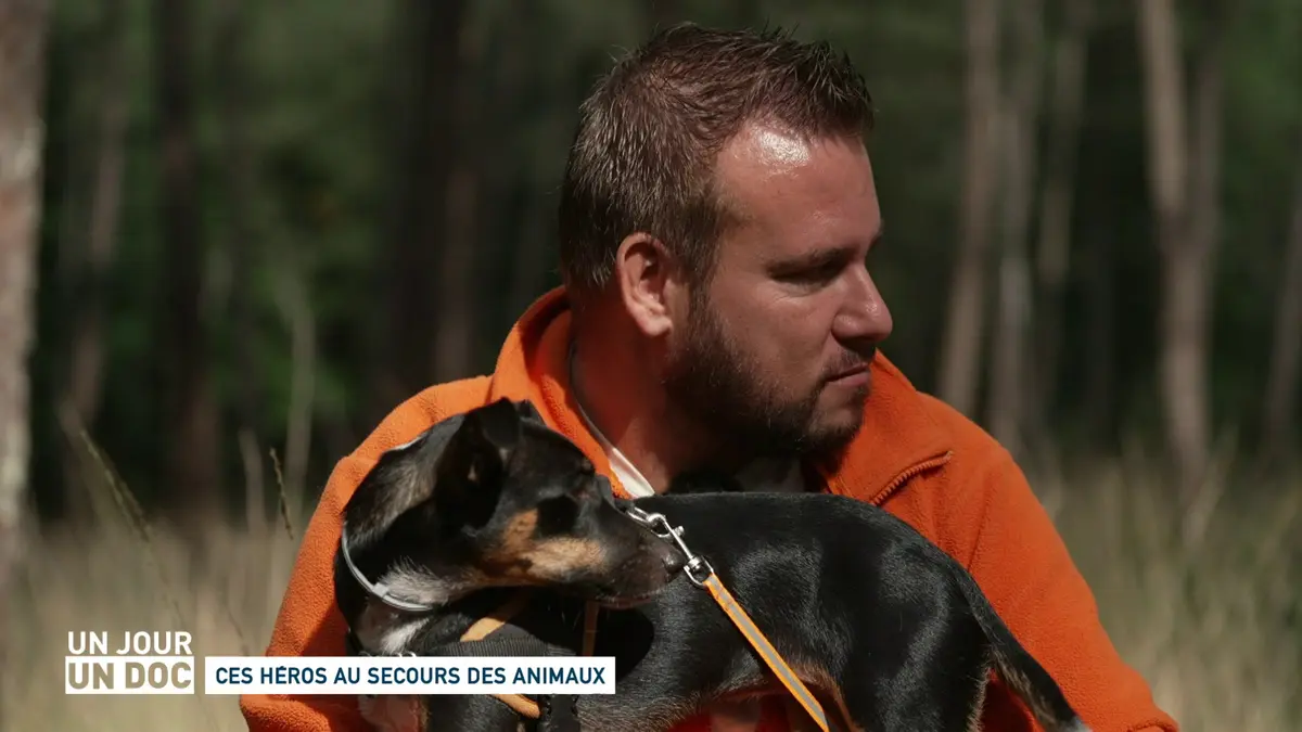 Replay Un jour un doc du 04 10 2023 Un jour un doc Ces héros au secours des animaux