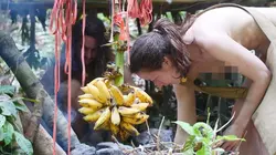 Retour à l'instinct primaire