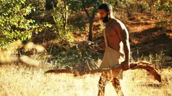 Retour à l'instinct primaire : seul au monde Chassée et égarée