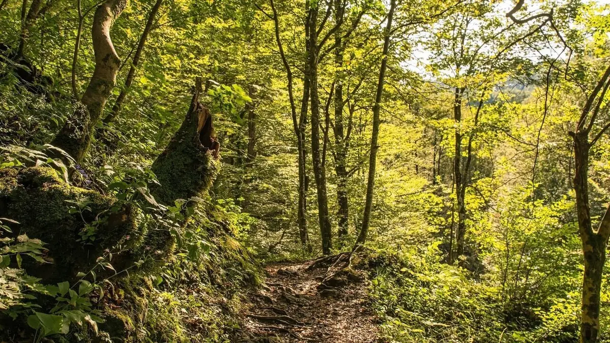 Naked And Afraid Jours Pour Survivre S E Croatie Mickael Et B N Dicte Documentaire