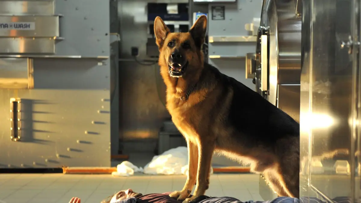 Casting Rex S18E08 L'héritage