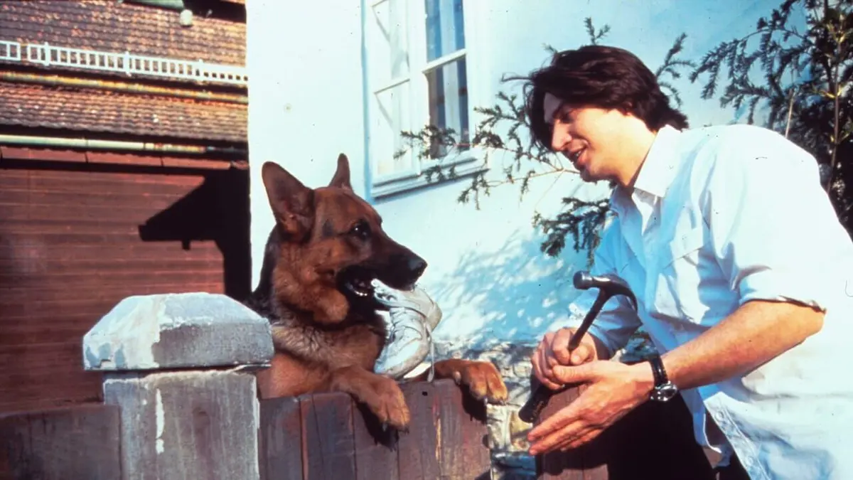 Rex S16E01 La métharmonie en streaming