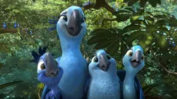 Rio 2