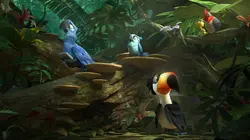 Rio 2