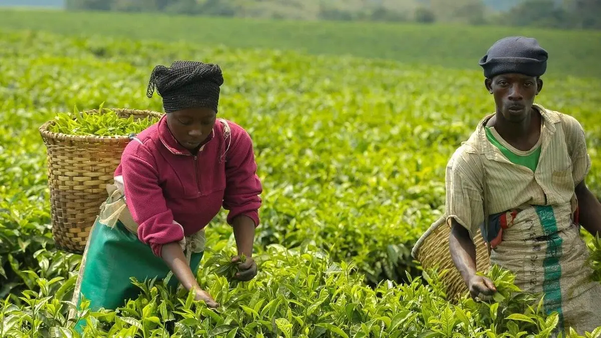 Rwanda, le pays des mille collines