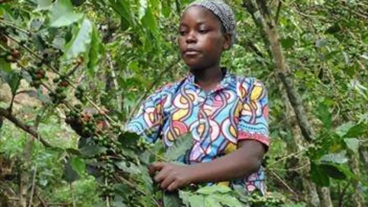 Rwanda, une renaissance