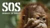 2012 • S.O.S. animaux en danger